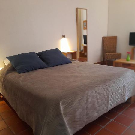 سانت-غيلام-لو-ديزرت Les Studios De St Guilhem المظهر الخارجي الصورة