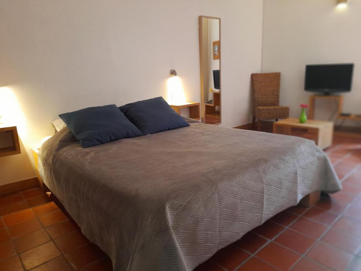 سانت-غيلام-لو-ديزرت Les Studios De St Guilhem المظهر الخارجي الصورة