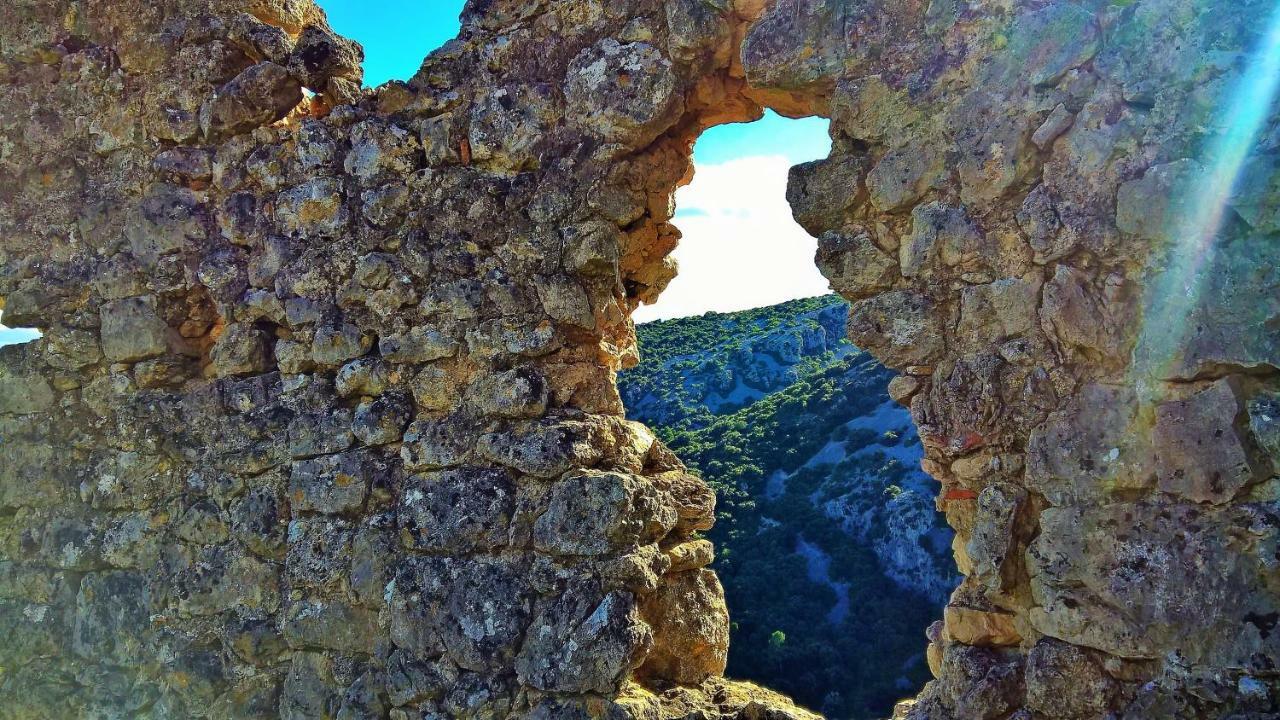 سانت-غيلام-لو-ديزرت Les Studios De St Guilhem المظهر الخارجي الصورة