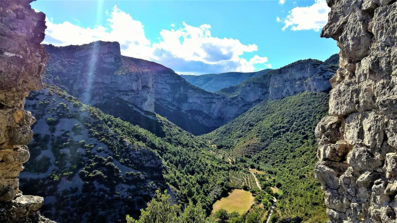 سانت-غيلام-لو-ديزرت Les Studios De St Guilhem المظهر الخارجي الصورة