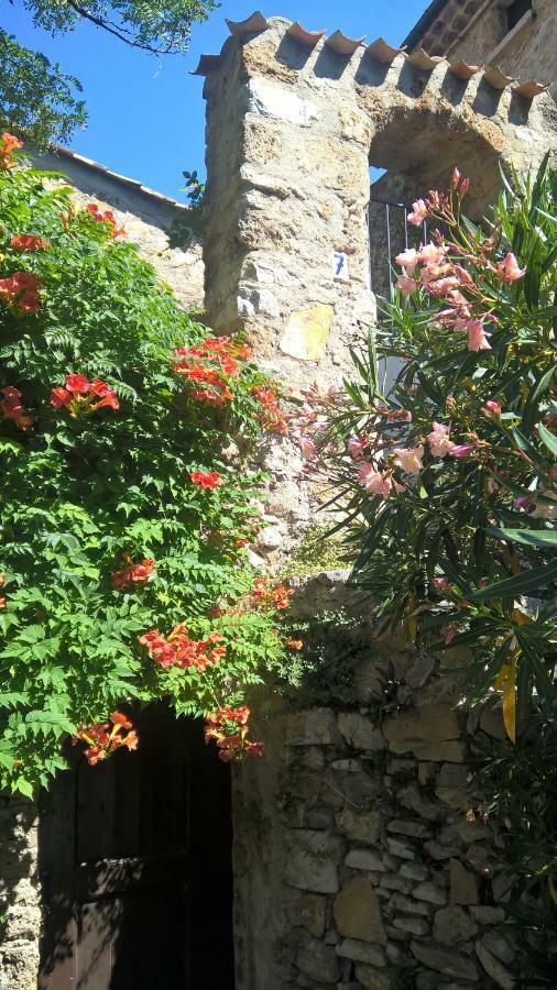 سانت-غيلام-لو-ديزرت Les Studios De St Guilhem المظهر الخارجي الصورة
