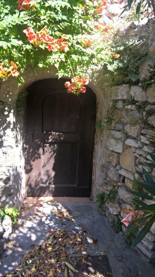 سانت-غيلام-لو-ديزرت Les Studios De St Guilhem المظهر الخارجي الصورة